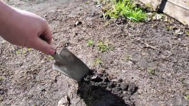 Küreği eline al. Adam kürekle toprağı kazıyor. Toprağa kürek at. Yavaş çekim videosu.