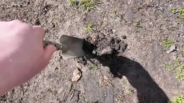 Küreği eline al. Adam kürekle toprağı kazıyor. Toprağa kürek at. Yavaş çekim videosu.