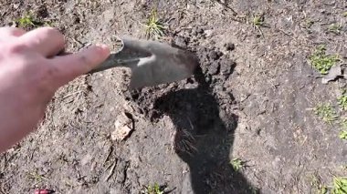 Küreği eline al. Adam kürekle toprağı kazıyor. Toprağa kürek at. Yavaş çekim videosu.