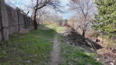 Bahar doğası. Bahar doğasında yürüyüş. İlkbaharda nehir boyunca bir patika. Nehir kenarında yürüyüş. Güzel gökyüzü ve göl. Yavaş çekim videosu.