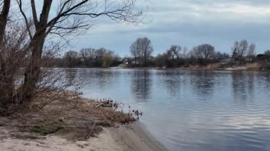 Göl kıyısındaki manzara. Nehirdeki yansıma. Nehrin kumlu kıyısı ve karanlık su. Doğa manzarası. Denize doğru yürü. Suda küçük dalgalar.