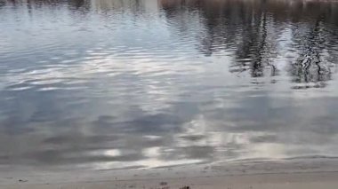 Göl kıyısındaki manzara. Nehirdeki yansıma. Nehrin kumlu kıyısı ve karanlık su. Doğa manzarası. Denize doğru yürü. Suda küçük dalgalar.