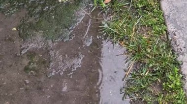 Yerdeki su birikintileri. Beton ve yağmur birikintileri. Yere düşen yağmur damlaları.