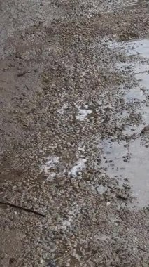 Yerdeki su birikintileri. Beton ve yağmur birikintileri. Yere düşen yağmur damlaları.