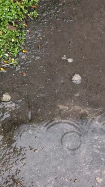 Yerdeki su birikintileri. Beton ve yağmur birikintileri. Yere düşen yağmur damlaları.