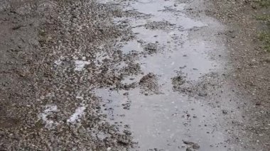 Yerdeki su birikintileri. Beton ve yağmur birikintileri. Yere düşen yağmur damlaları.