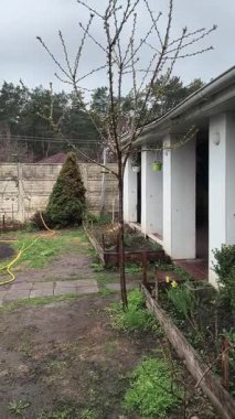 dacha. Avlu. Baharda sebze bahçesi. Küçük ev bahçesi.