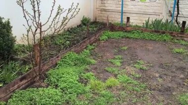 dacha. Avlu. Baharda sebze bahçesi. Küçük ev bahçesi.
