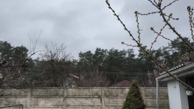 dacha. Avlu. Baharda sebze bahçesi. Küçük ev bahçesi.