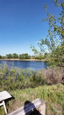 Bir patika boyunca yürümenin dikey videosu. Bir uçurum boyunca yol. Ormandaki patika. Nehir kenarında bir patika. Doğa yürüyüşü.