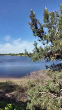 Bir patika boyunca yürümenin dikey videosu. Bir uçurum boyunca yol. Ormandaki patika. Nehir kenarında bir patika. Doğa yürüyüşü.