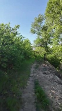 Bir patika boyunca yürümenin dikey videosu. Bir uçurum boyunca yol. Ormandaki patika. Nehir kenarında bir patika. Doğa yürüyüşü.