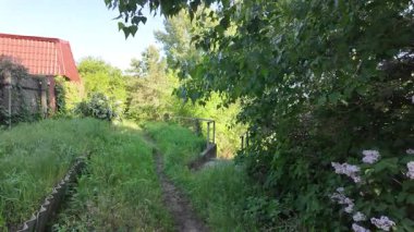 Kalın yeşil çimenlerde patika. Yol boyunca uzun otlar. Yavaş çekim video doğal bahar manzarası.