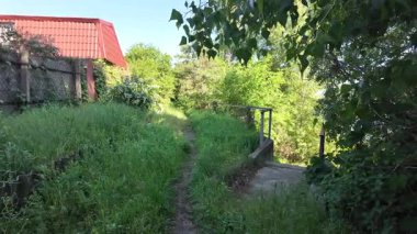 Kalın yeşil çimenlerde patika. Yol boyunca uzun otlar. Yavaş çekim video doğal bahar manzarası.