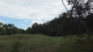 Ormanda zaman yürüyüşü. Zaman büküm ormanı. Ormanda hız video yolu. Ormanla zaman geçiyor. Doğada hızlı video yürüyüşü.