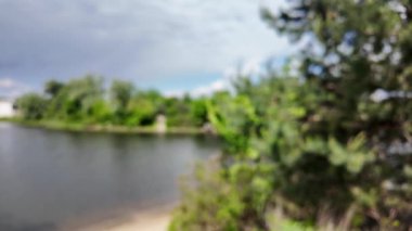 Bulanık arkaplan, gökyüzü ve nehir. Soyut doğa geçmişi. Nehir kıyısında bulanık bir video. Gökyüzüne karşı uzun ağaçlar. Ormanda yavaş çekim videosu. Kum ve nehir. Suyun üzerindeki bulutlu gökyüzü.