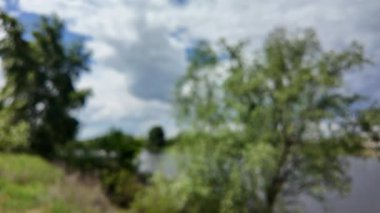 Bulanık arkaplan, gökyüzü ve nehir. Soyut doğa geçmişi. Nehir kıyısında bulanık bir video. Gökyüzüne karşı uzun ağaçlar. Ormanda yavaş çekim videosu. Kum ve nehir. Suyun üzerindeki bulutlu gökyüzü.