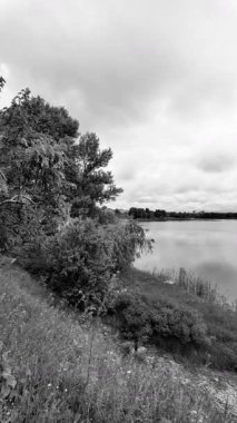 manzara siyah ve beyaz. Nehirle birlikte yavaş çekim siyah beyaz manzara. bulutlar ve nehir monokromu.