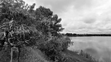 manzara siyah ve beyaz. Nehirle birlikte yavaş çekim siyah beyaz manzara. bulutlar ve nehir monokromu.