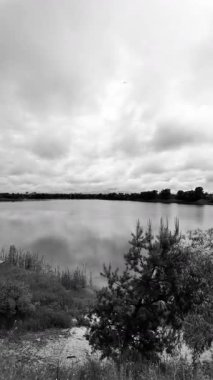manzara siyah ve beyaz. Nehirle birlikte yavaş çekim siyah beyaz manzara. bulutlar ve nehir monokromu.