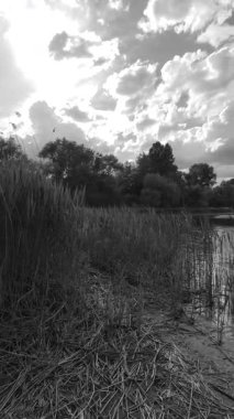 manzara siyah ve beyaz. Nehirle birlikte yavaş çekim siyah beyaz manzara. bulutlar ve nehir monokromu.