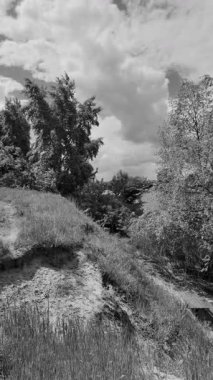 manzara siyah ve beyaz. Nehirle birlikte yavaş çekim siyah beyaz manzara. bulutlar ve nehir monokromu.