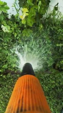 Baykuş gözleri yakın plan. Kuş gözlerini yakın çekimde kırpıyor. Avrupa baykuşunun portresi. Baykuş göz kırpar ve ağzını açar. Stüdyo. Avrasya Kartalı Baykuşu yavaş çekimde göz kırpıyor.