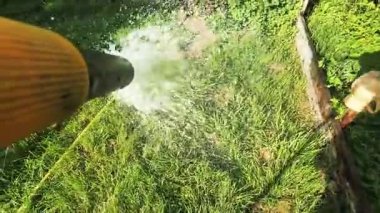 Baykuş gözleri yakın plan. Kuş gözlerini yakın çekimde kırpıyor. Avrupa baykuşunun portresi. Baykuş göz kırpar ve ağzını açar. Stüdyo. Avrasya Kartalı Baykuşu yavaş çekimde göz kırpıyor.