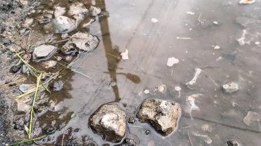 Yansımalı su birikintisi. Su birikintisindeki yansıma. Yağmur damlaları şehrin kaldırımlarına ışık yansıyan su birikintisinin üzerine düşüyor, yağmur gece, hava veya çevre ışıklarıyla düşüyor, hiç kimse