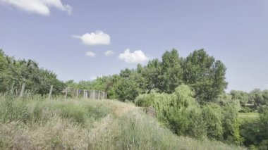 Yavaş çekim doğa yürüyüşü. Çimlerin arasındaki dar yol. Yazın yürüyüş. Sıcak güneşli bir gün. Ağır çekim video 4k. video HLG biçiminde.