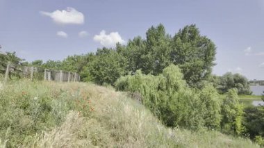 Yavaş çekim doğa yürüyüşü. Çimlerin arasındaki dar yol. Yazın yürüyüş. Sıcak güneşli bir gün. Ağır çekim video 4k. video HLG biçiminde.