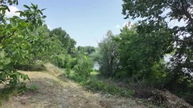 Yavaş çekim doğa yürüyüşü. Çimlerin arasındaki dar yol. Yazın yürüyüş. Sıcak güneşli bir gün. Ağır çekim video 4k. video HLG biçiminde.