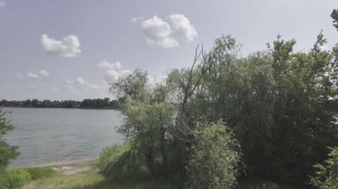 Yavaş çekim doğa yürüyüşü. Çimlerin arasındaki dar yol. Yazın yürüyüş. Sıcak güneşli bir gün. Ağır çekim video 4k. video HLG biçiminde.