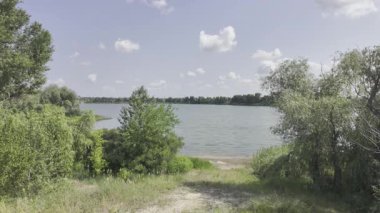 Yavaş çekim doğa yürüyüşü. Çimlerin arasındaki dar yol. Yazın yürüyüş. Sıcak güneşli bir gün. Ağır çekim video 4k. video HLG biçiminde.