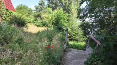 Yazın insan doğada yürür. Bir dağ ormanındaki patika boyunca yürüyen bir adamın yakın plan görüntüsü. Hala yavaş çekimde.