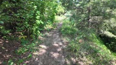 Yazın insan doğada yürür. Bir dağ ormanındaki patika boyunca yürüyen bir adamın yakın plan görüntüsü. Hala yavaş çekimde.