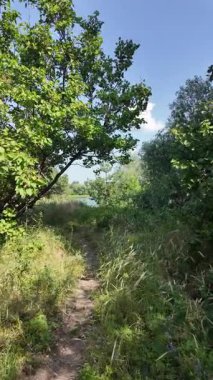 Yazın insan doğada yürür. Bir dağ ormanındaki patika boyunca yürüyen bir adamın yakın plan görüntüsü. Hala yavaş çekimde.