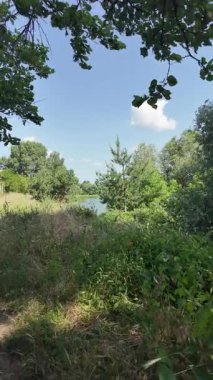 Yazın insan doğada yürür. Bir dağ ormanındaki patika boyunca yürüyen bir adamın yakın plan görüntüsü. Hala yavaş çekimde.