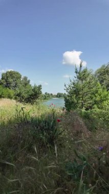 Yazın insan doğada yürür. Bir dağ ormanındaki patika boyunca yürüyen bir adamın yakın plan görüntüsü. Hala yavaş çekimde.