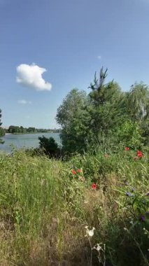 Yazın insan doğada yürür. Bir dağ ormanındaki patika boyunca yürüyen bir adamın yakın plan görüntüsü. Hala yavaş çekimde.