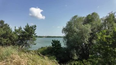 Yazın insan doğada yürür. Bir dağ ormanındaki patika boyunca yürüyen bir adamın yakın plan görüntüsü. Hala yavaş çekimde.