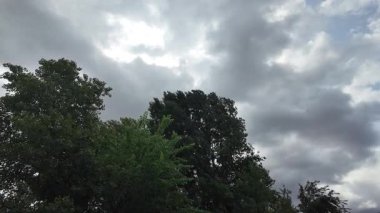 Ağaçlar bulutlu gökyüzüne karşı. Tehditkar yağmur bulutları. Gökyüzü fırtınadan önce. Kötü hava. Gökteki kasırga. Yağmurlu bir gün. Yavaş çekim video 4k.