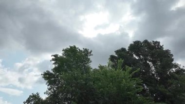 Ağaçlar bulutlu gökyüzüne karşı. Tehditkar yağmur bulutları. Gökyüzü fırtınadan önce. Kötü hava. Gökteki kasırga. Yağmurlu bir gün. Yavaş çekim video 4k.