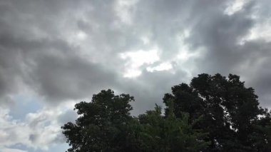 Ağaçlar bulutlu gökyüzüne karşı. Tehditkar yağmur bulutları. Gökyüzü fırtınadan önce. Kötü hava. Gökteki kasırga. Yağmurlu bir gün. Yavaş çekim video 4k.