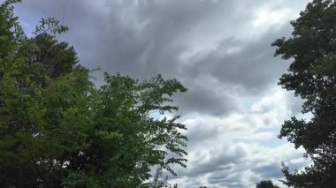 Ağaçlar bulutlu gökyüzüne karşı. Tehditkar yağmur bulutları. Gökyüzü fırtınadan önce. Kötü hava. Gökteki kasırga. Yağmurlu bir gün. Yavaş çekim video 4k.