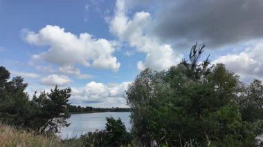 Nehrin kıyısına yürü. Göl kıyısı. Nehir kıyısında. Çimenler ve ağaçlar gölün kıyısında yetişir. Söğütlerin dalları suyun üzerinde uzanıyor. Uzak sahilde apartmanlar var..