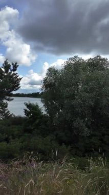 Nehrin kıyısına yürü. Göl kıyısı. Nehir kıyısında. Çimenler ve ağaçlar gölün kıyısında yetişir. Söğütlerin dalları suyun üzerinde uzanıyor. Uzak sahilde apartmanlar var..