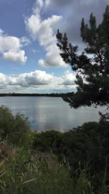 Nehrin kıyısına yürü. Göl kıyısı. Nehir kıyısında. Çimenler ve ağaçlar gölün kıyısında yetişir. Söğütlerin dalları suyun üzerinde uzanıyor. Uzak sahilde apartmanlar var..