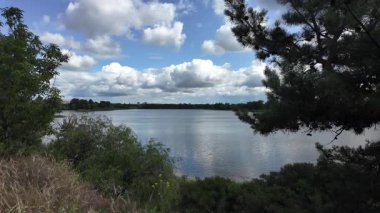 Nehrin kıyısına yürü. Göl kıyısı. Nehir kıyısında. Çimenler ve ağaçlar gölün kıyısında yetişir. Söğütlerin dalları suyun üzerinde uzanıyor. Uzak sahilde apartmanlar var..