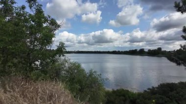 Nehrin kıyısına yürü. Göl kıyısı. Nehir kıyısında. Çimenler ve ağaçlar gölün kıyısında yetişir. Söğütlerin dalları suyun üzerinde uzanıyor. Uzak sahilde apartmanlar var..